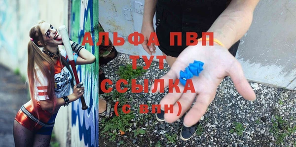 дмт Касимов