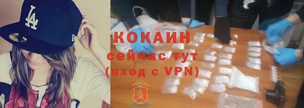 трава Инта