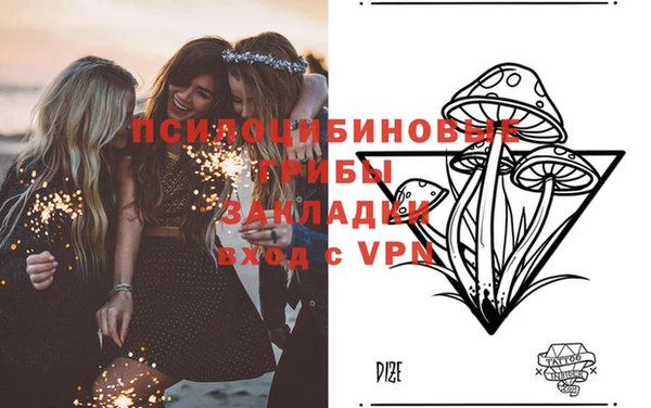 дмт Касимов