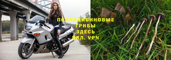 прущие крисы Киреевск