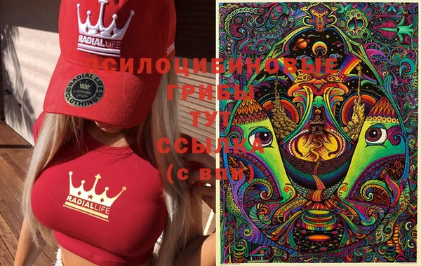 дмт Касимов