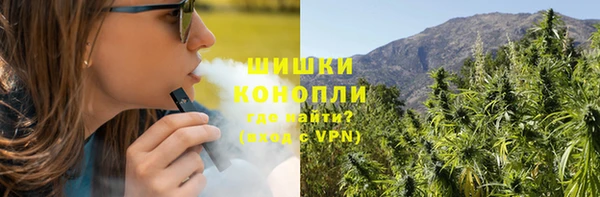дмт Касимов