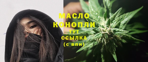 трава Инта