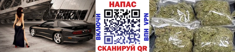 Каннабис SATIVA & INDICA  Купить где  Котлас 